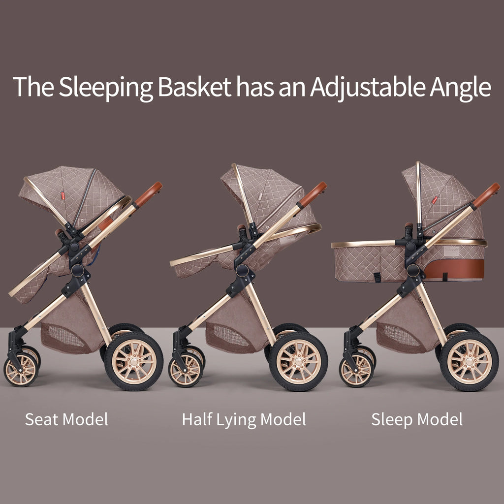 Luxury Reversible Stroller