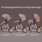 Luxury Reversible Stroller